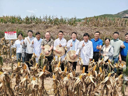 圖片15.png 圖片15.png