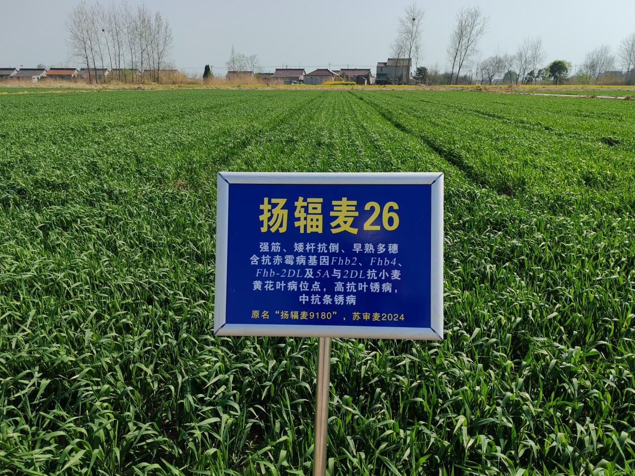 圖片1.jpg 圖片1.jpg